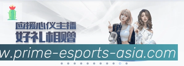 未来规划