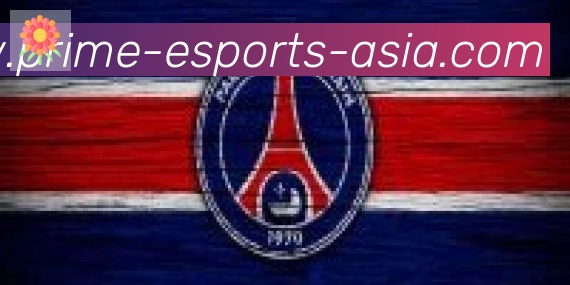 DOTA比分合作伙伴