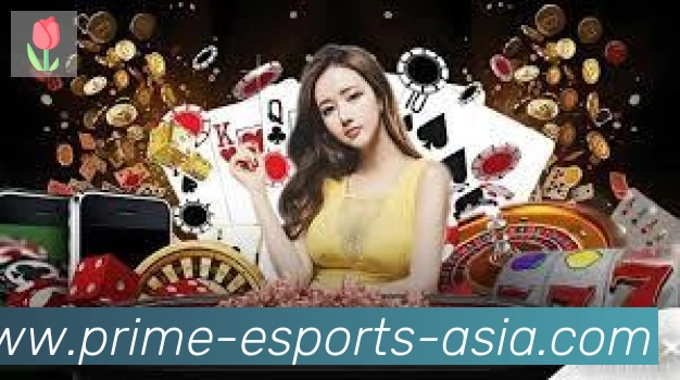 DOTA比分全站App